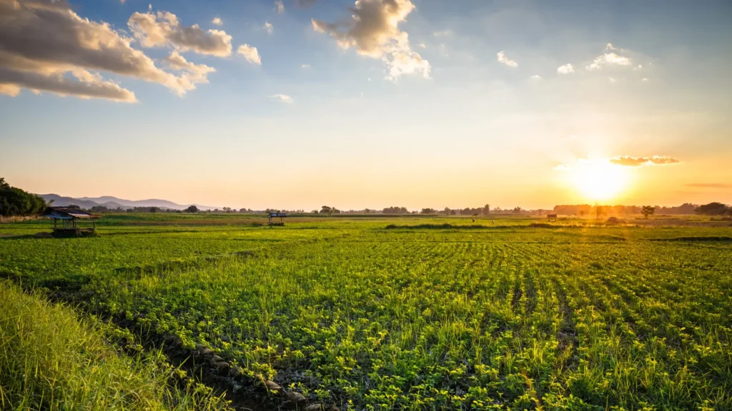 How Geothermal Energy is Transforming Canadian Farms